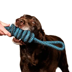 Hershey-scaled-e1732838072206-1536x1536